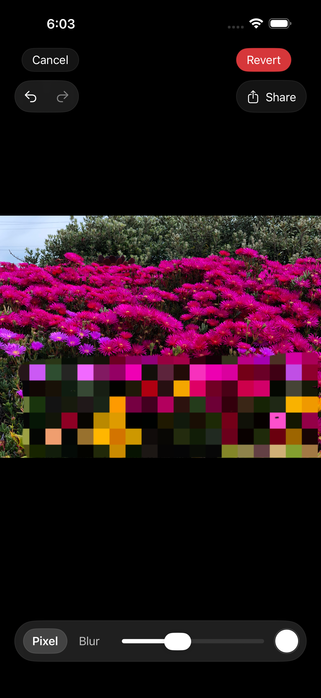 Masqer editor with sensitive details blurred in the photo