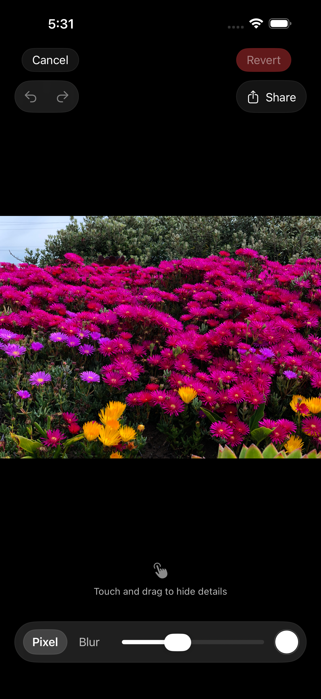 Masqer editor with an unmasked flower photo loaded