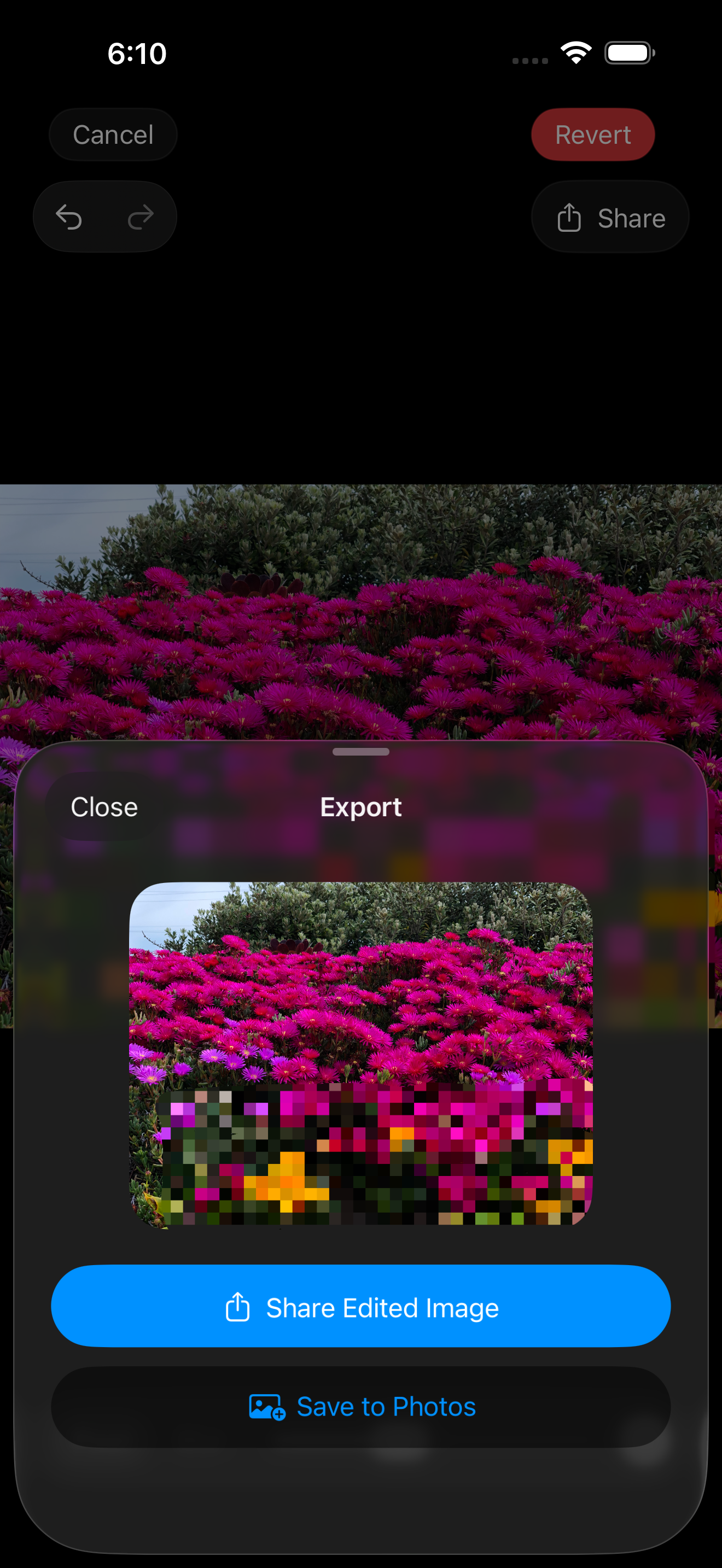 Masqer export sheet for sharing the protected image